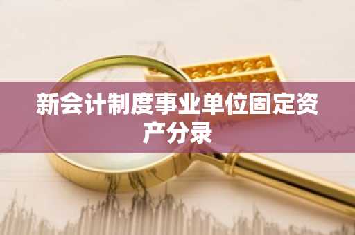新会计制度事业单位固定资产分录