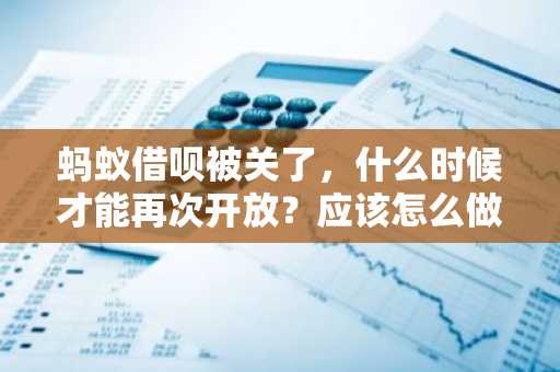 蚂蚁借呗被关了，什么时候才能再次开放？应该怎么做？