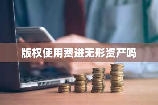 版权使用费进无形资产吗