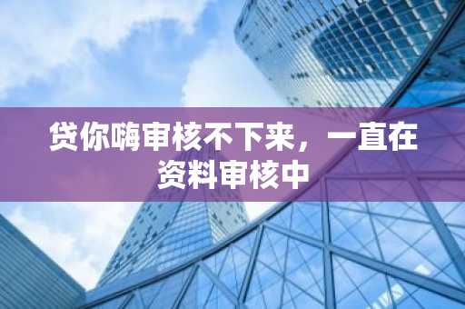 贷你嗨审核不下来，一直在资料审核中