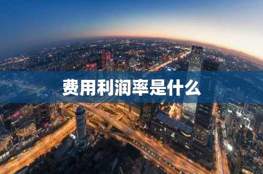 费用利润率是什么