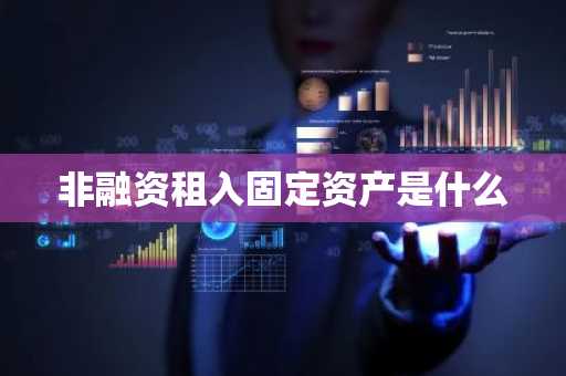 非融资租入固定资产是什么