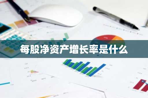 每股净资产增长率是什么