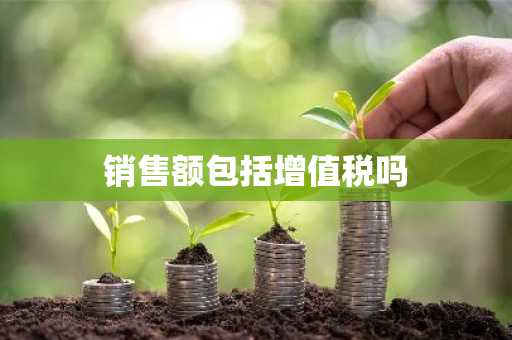 销售额包括增值税吗