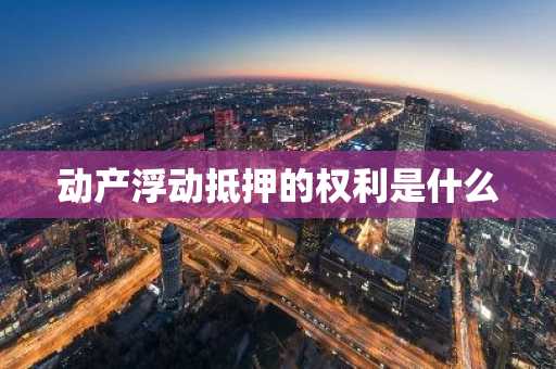 动产浮动抵押的权利是什么