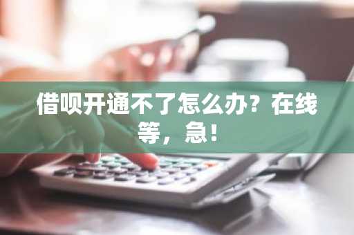 借呗开通不了怎么办？在线等，急！