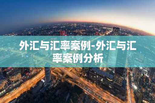 外汇与汇率案例-外汇与汇率案例分析