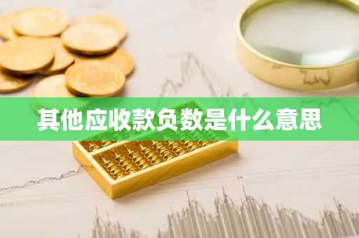 其他应收款负数是什么意思