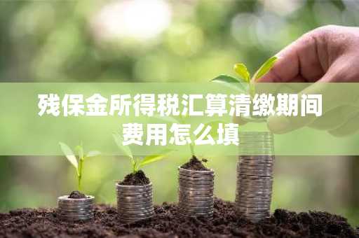 残保金所得税汇算清缴期间费用怎么填