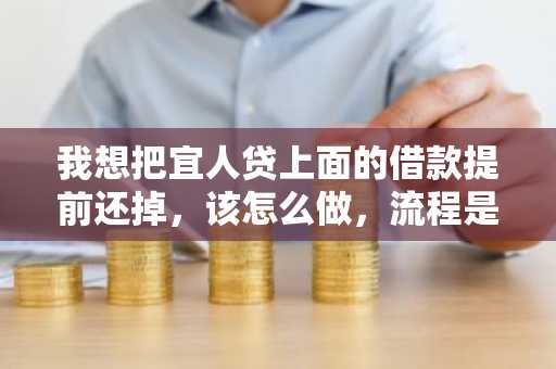 我想把宜人贷上面的借款提前还掉，该怎么做，流程是什么样的？