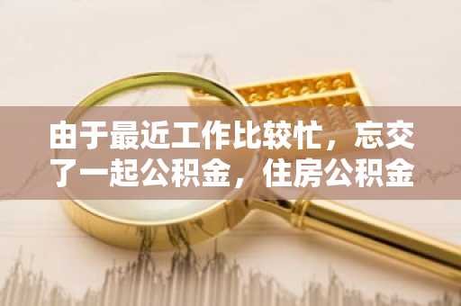 由于最近工作比较忙，忘交了一起公积金，住房公积金贷款忘交了应该怎么办啊？