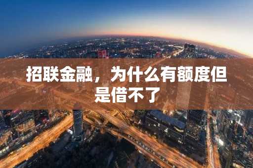 招联金融，为什么有额度但是借不了