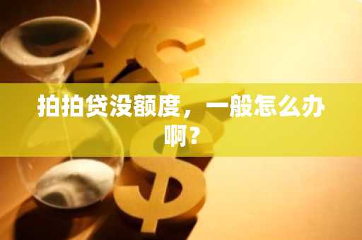 拍拍贷没额度，一般怎么办啊？