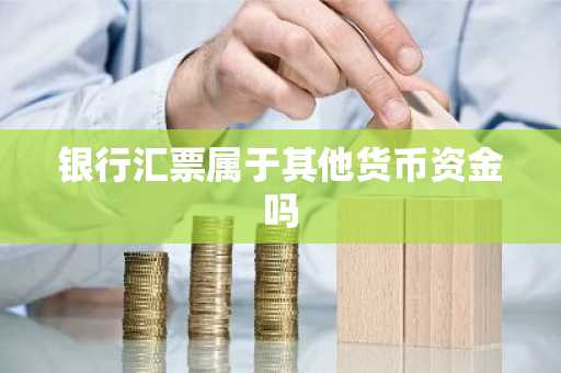 银行汇票属于其他货币资金吗