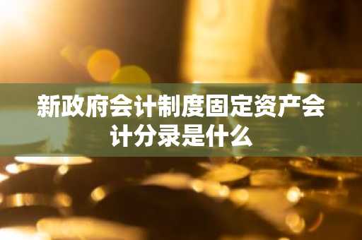 新政府会计制度固定资产会计分录是什么