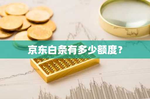 京东白条有多少额度？