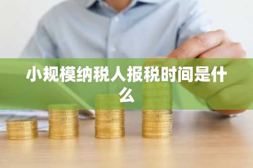 小规模纳税人报税时间是什么