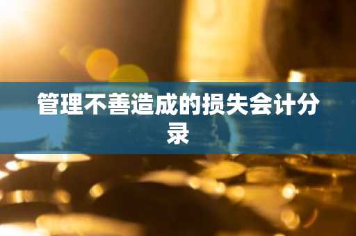管理不善造成的损失会计分录