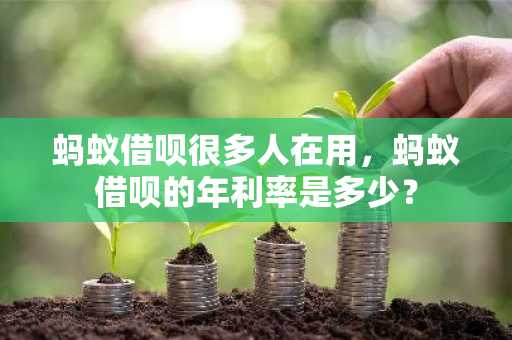 蚂蚁借呗很多人在用，蚂蚁借呗的年利率是多少？