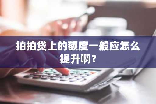 拍拍贷上的额度一般应怎么提升啊？