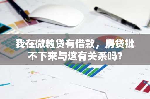 我在微粒贷有借款，房贷批不下来与这有关系吗？