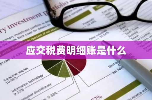 应交税费明细账是什么