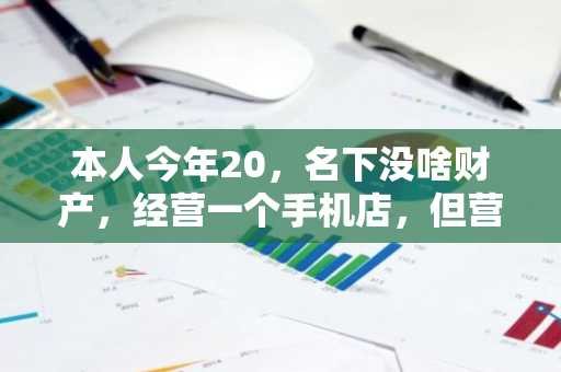 本人今年20，名下没啥财产，经营一个手机店，但营业执照不是我的，能贷款10万吗？