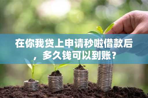 在你我贷上申请秒啦借款后，多久钱可以到账？