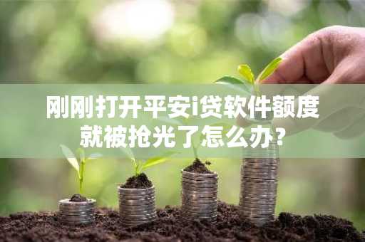 刚刚打开平安i贷软件额度就被抢光了怎么办？