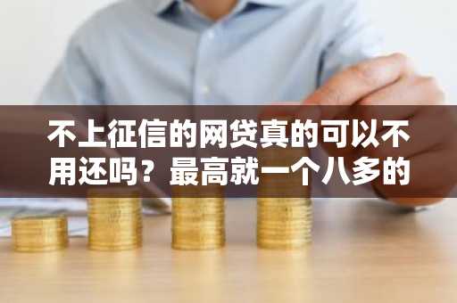 不上征信的网贷真的可以不用还吗？最高就一个八多的其余的都是一两三千不等的，我查了一下征信都不在报内