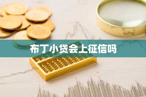 布丁小贷会上征信吗