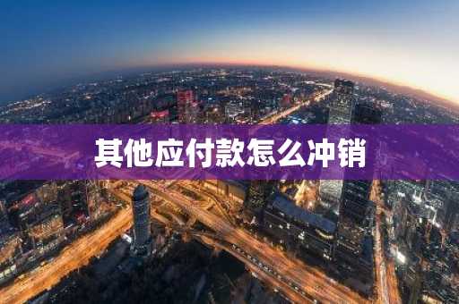 其他应付款怎么冲销
