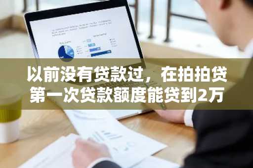 以前没有贷款过，在拍拍贷第一次贷款额度能贷到2万吗？