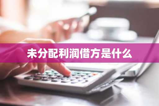 未分配利润借方是什么