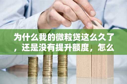 为什么我的微粒贷这么久了，还是没有提升额度，怎么提升？