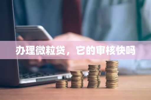 办理微粒贷，它的审核快吗