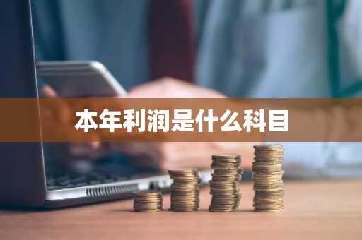 本年利润是什么科目