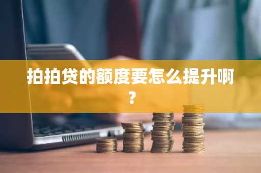 拍拍贷的额度要怎么提升啊？