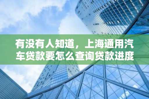 有没有人知道，上海通用汽车贷款要怎么查询贷款进度？