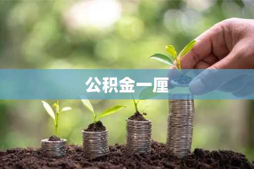 公积金一厘