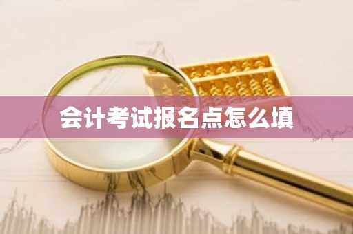 会计考试报名点怎么填
