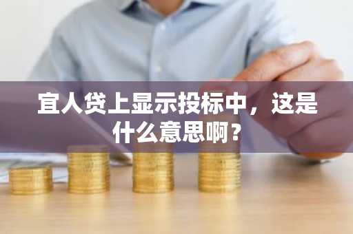 宜人贷上显示投标中，这是什么意思啊？