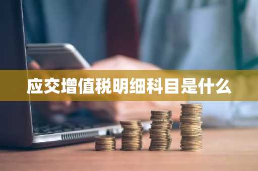 应交增值税明细科目是什么