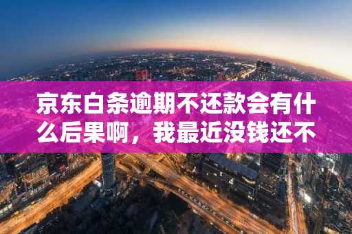 京东白条逾期不还款会有什么后果啊，我最近没钱还不上。