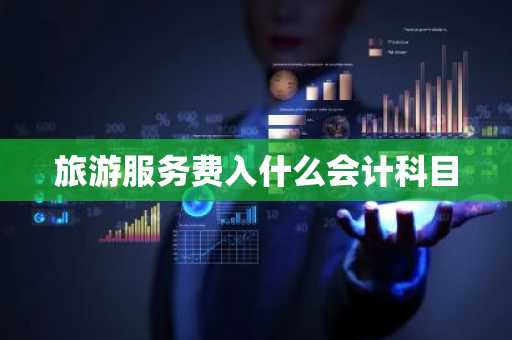 旅游服务费入什么会计科目