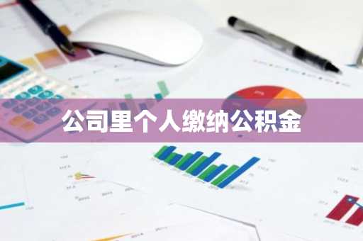 公司里个人缴纳公积金
