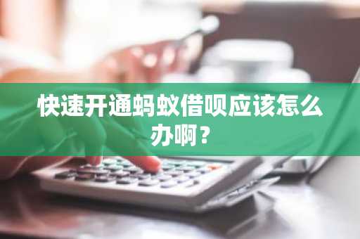 快速开通蚂蚁借呗应该怎么办啊？