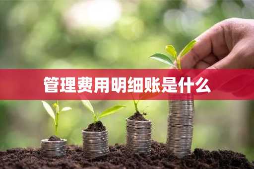 管理费用明细账是什么