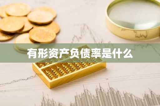 有形资产负债率是什么