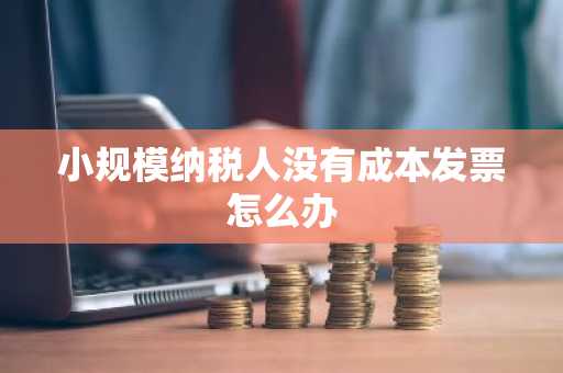 小规模纳税人没有成本发票怎么办
